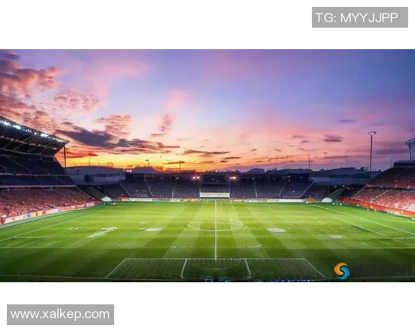 足球明星背后的无名英雄如何在绿茵场上默默奉献与追逐梦想